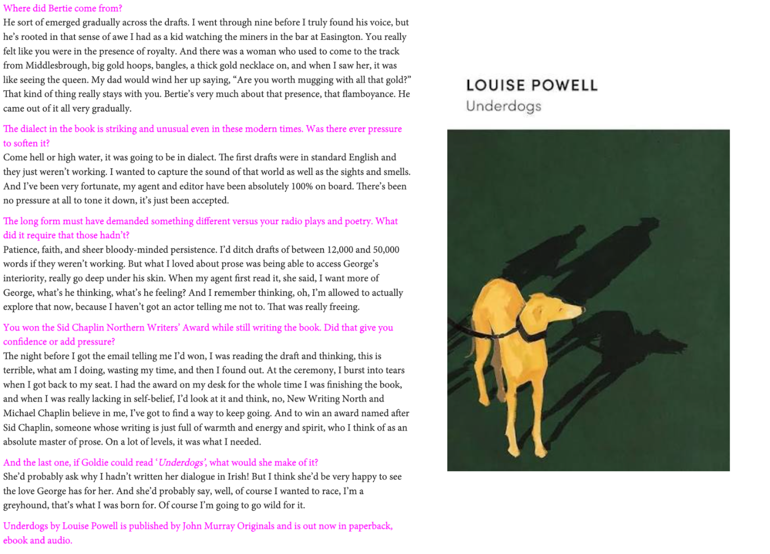 A screenshot of Joanna Long's interview with Louise Powell, author of 'Underdogs', for NARC Magazine